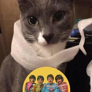 Meet your Posher, Jay